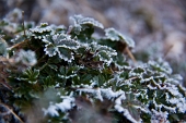 IMG_4713_resize