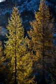 IMG_4726_resize