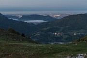 IMG_2881