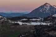 IMG_2938