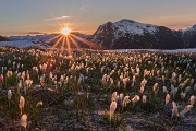 IMG_2985-2