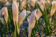 IMG_3018