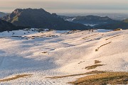 IMG_3028