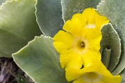 IMG_3118