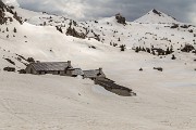 IMG_3127