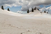 IMG_3130