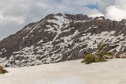 IMG_3132