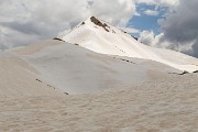 IMG_3133