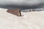 IMG_3145