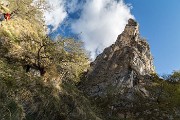 _MG_9141