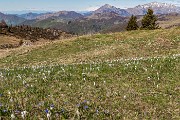 _MG_9178