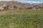 _MG_9180