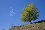 _MG_9222
