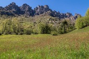 _MG_9263