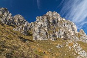 _MG_0447