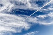 _MG_0451