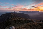 _MG_0650
