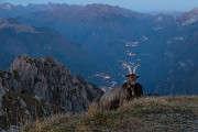 _MG_0674