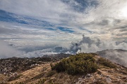 IMG_1554