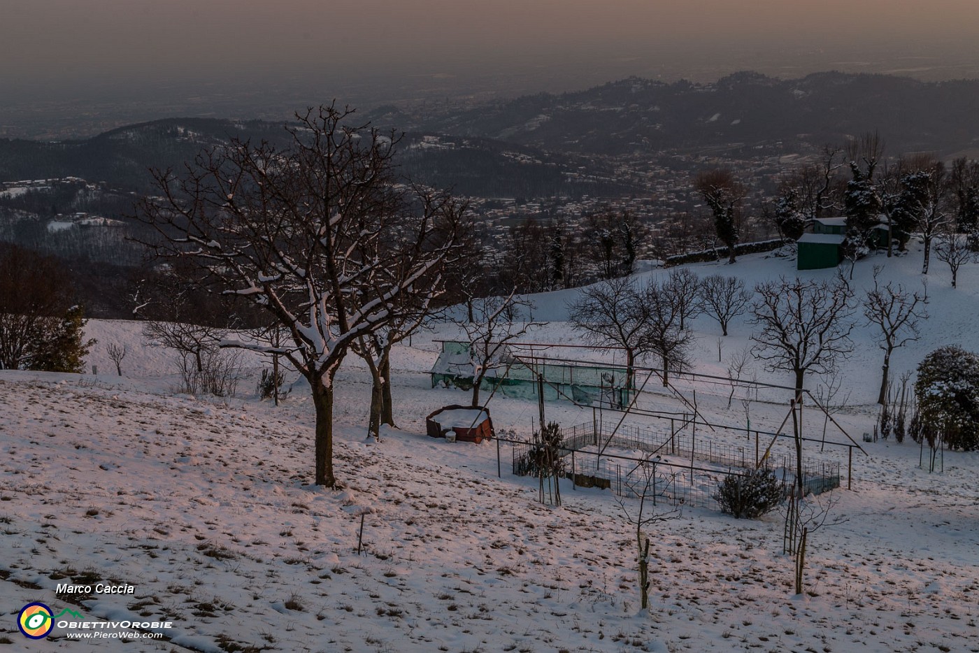 _MG_9372.JPG