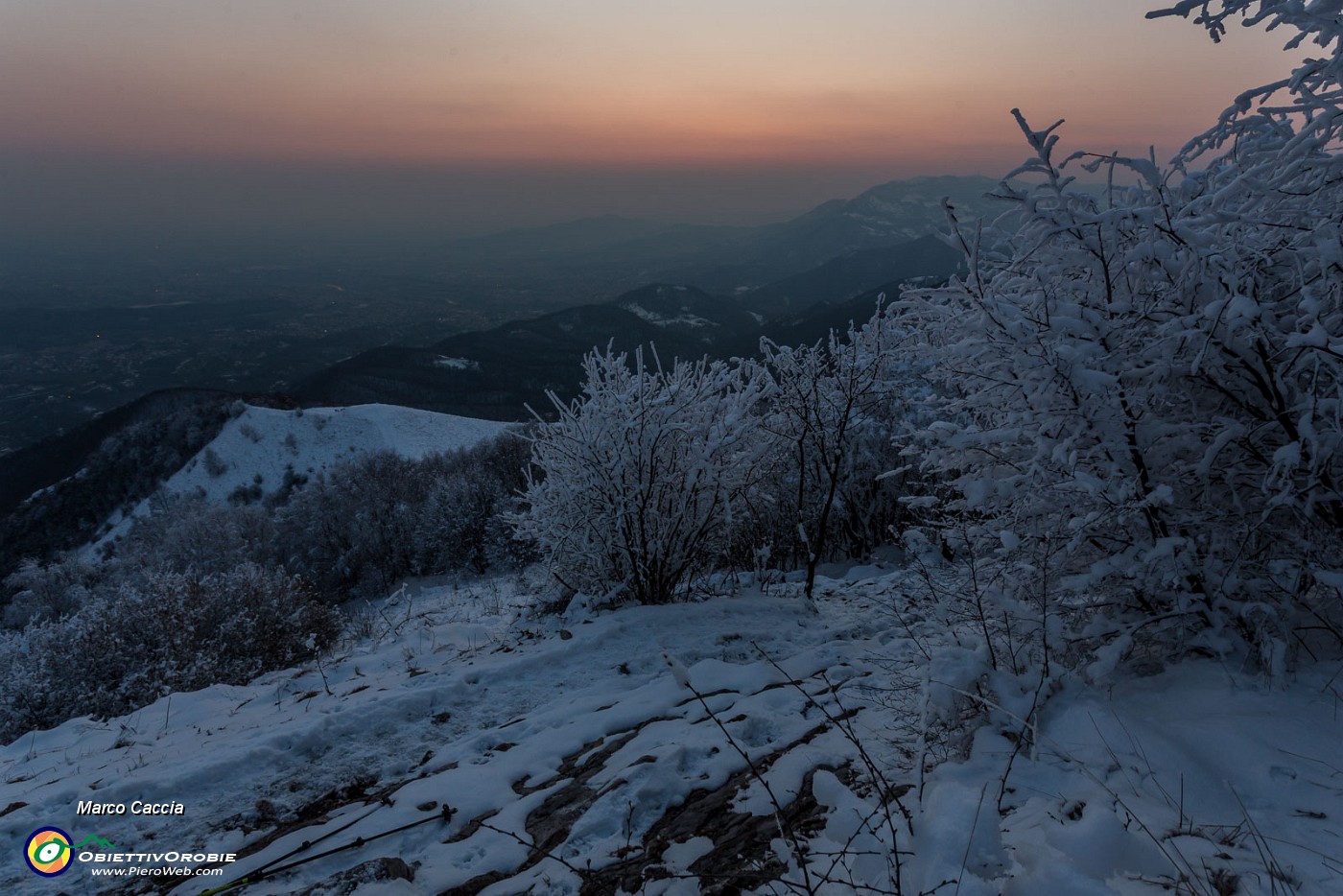_MG_9429.JPG