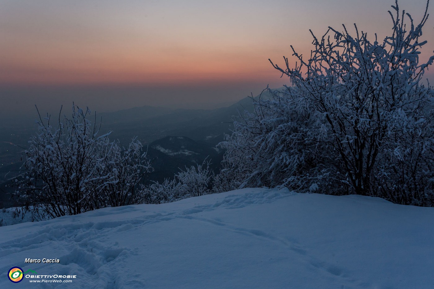 _MG_9444.JPG