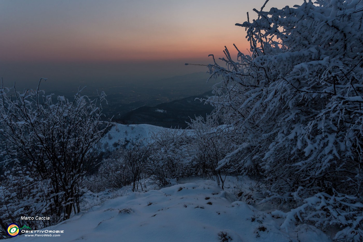 _MG_9447.JPG