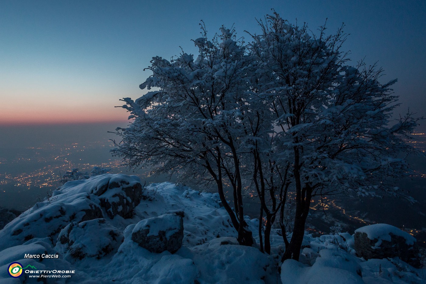 _MG_9509.JPG