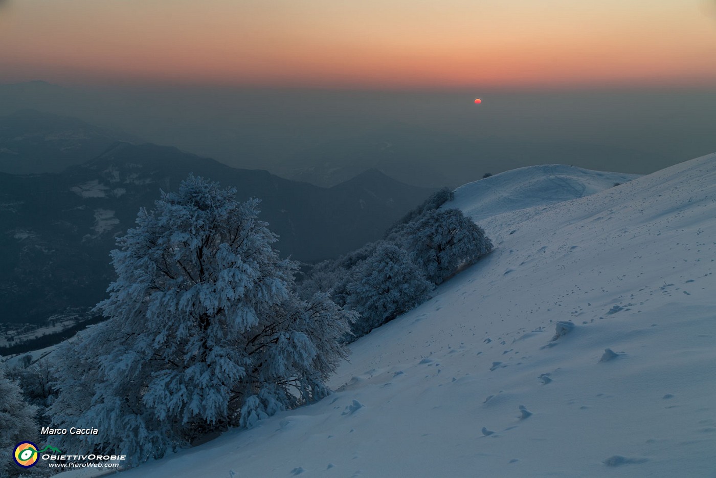 _MG_9547.JPG