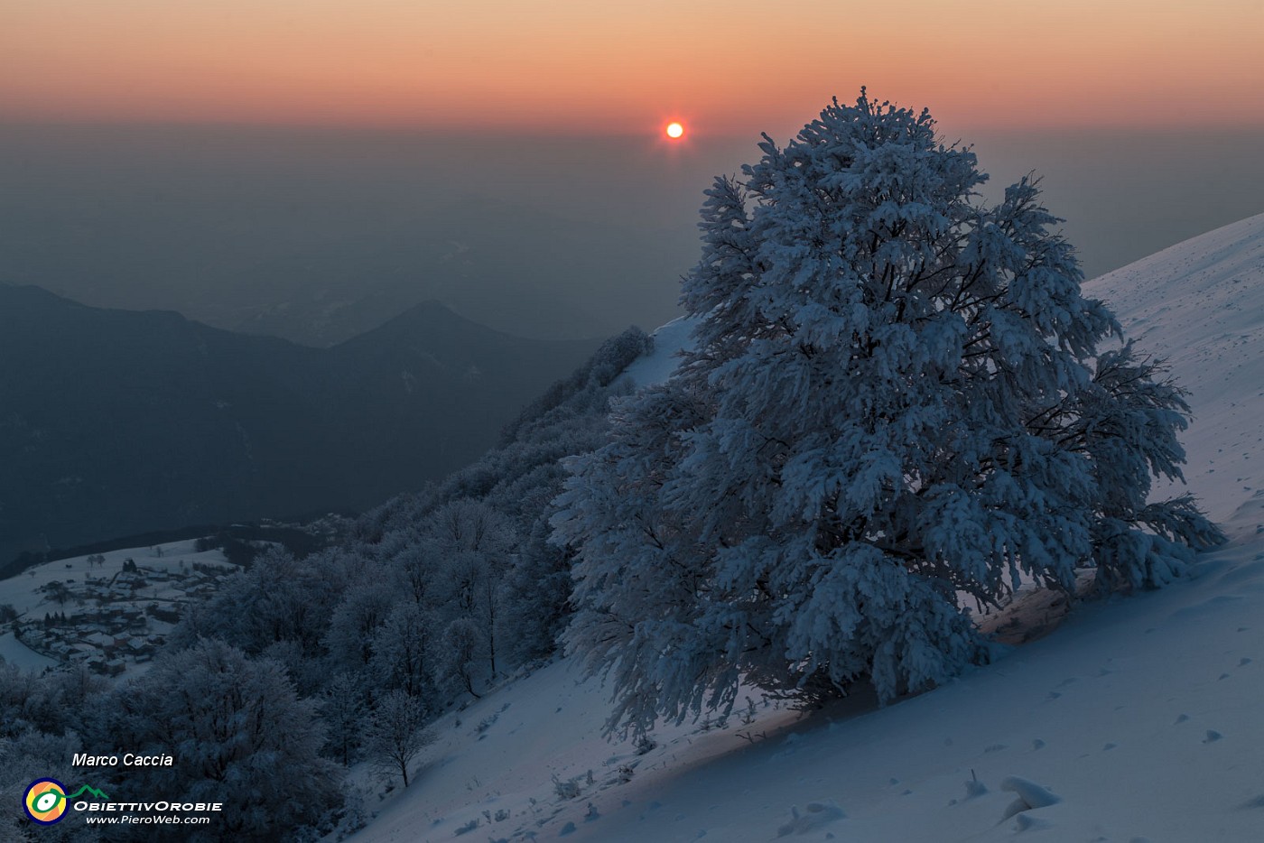 _MG_9568.JPG