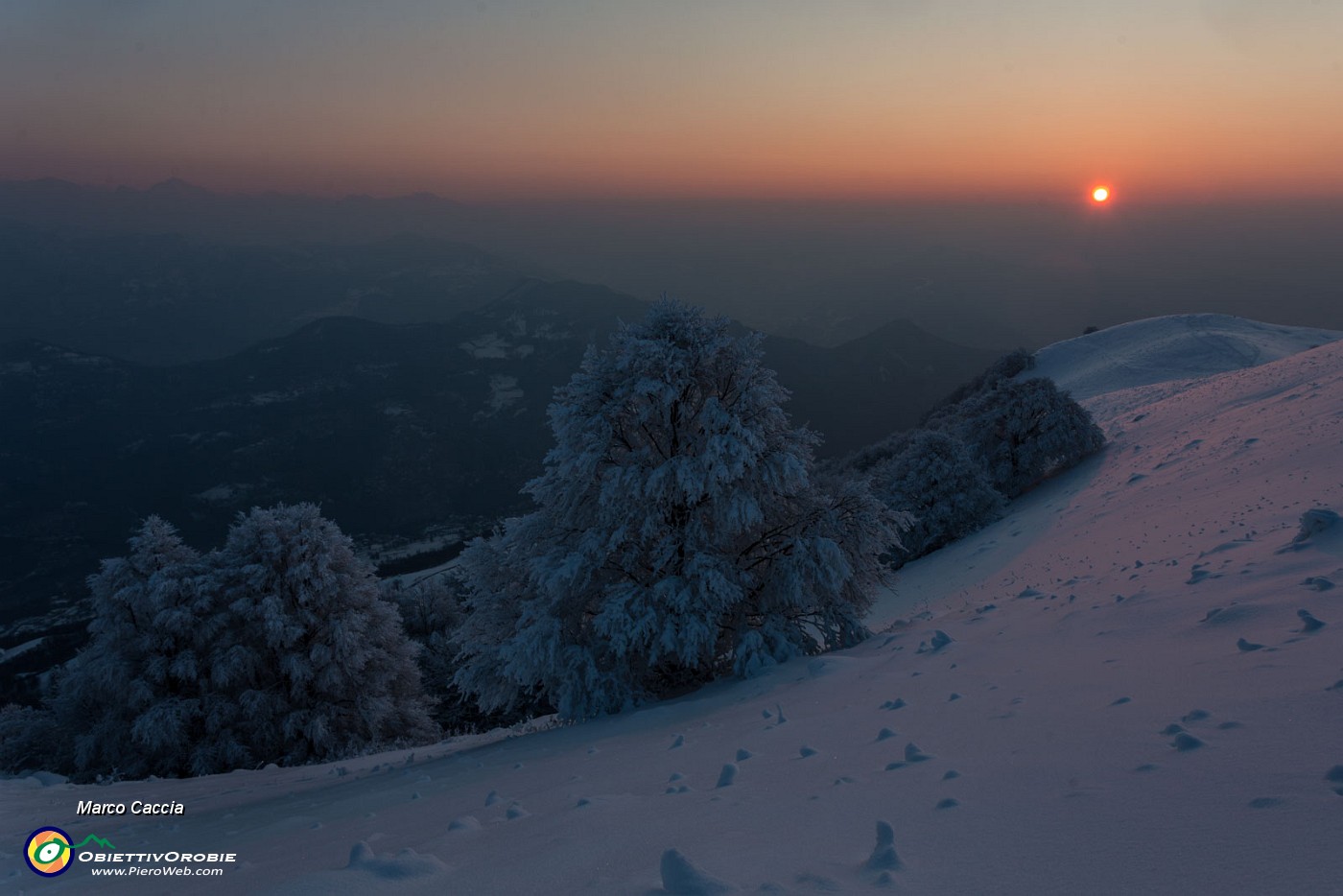 _MG_9571.JPG