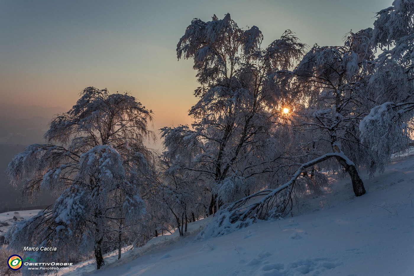 _MG_9590.JPG
