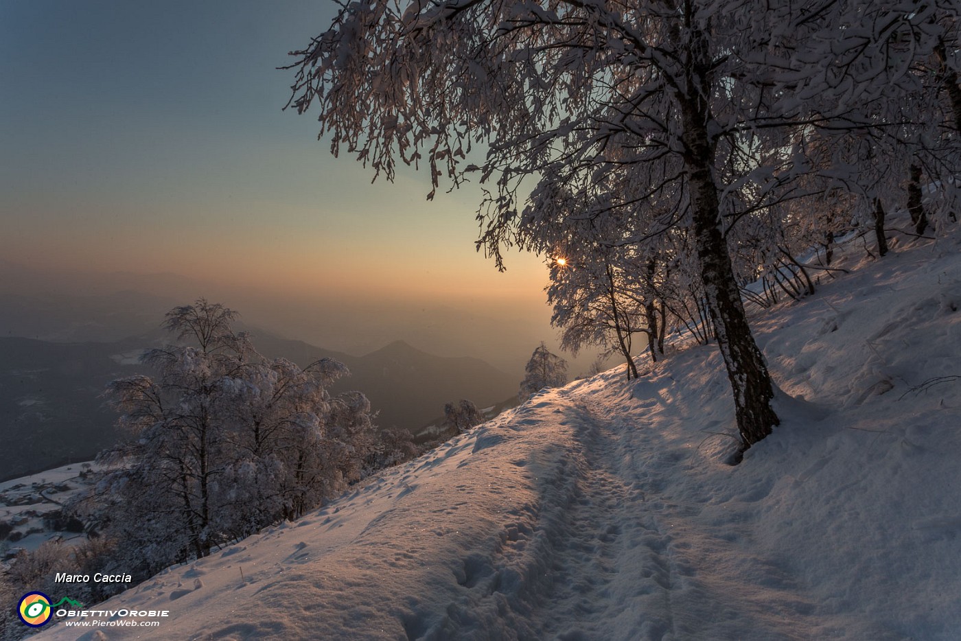 _MG_9592.JPG
