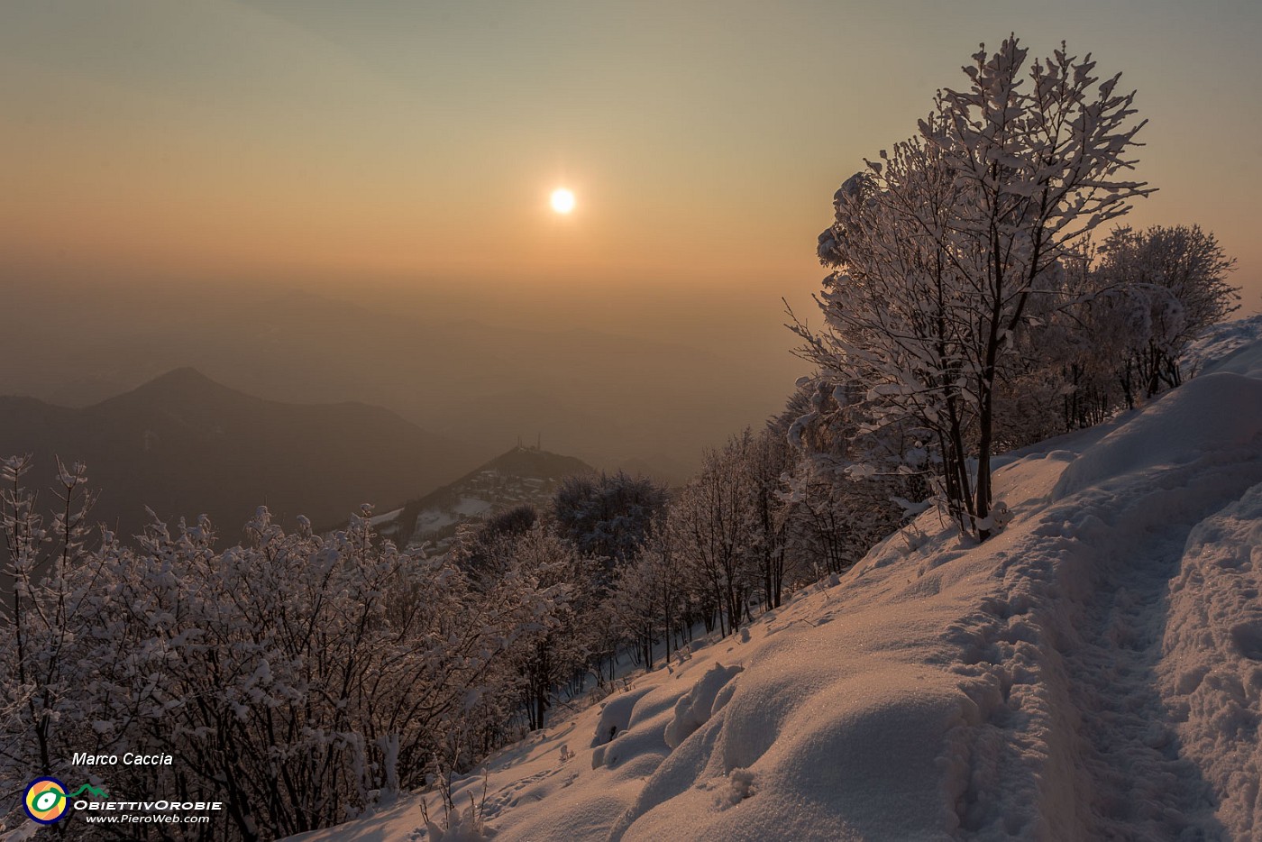 _MG_9596.JPG
