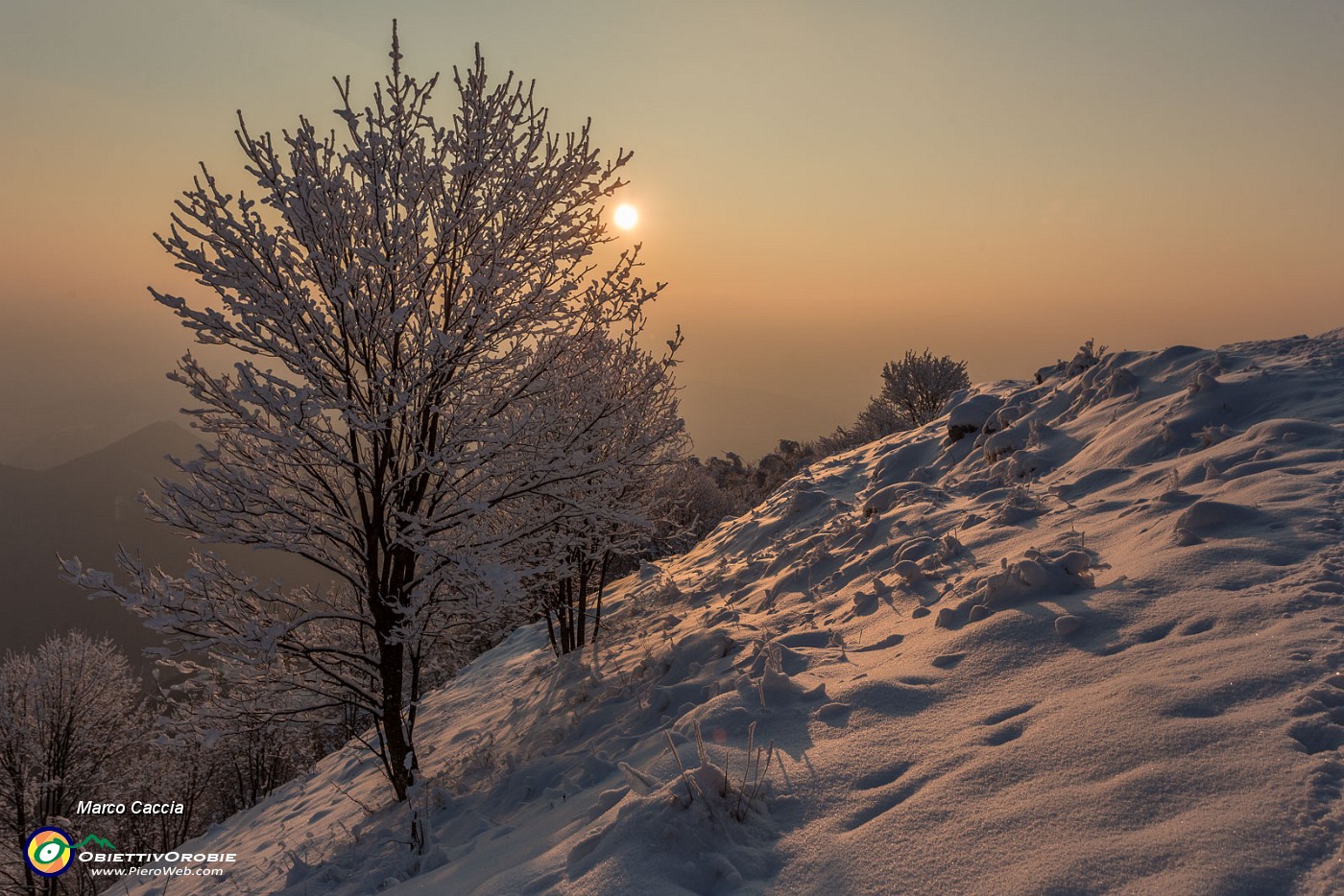 _MG_9599.JPG