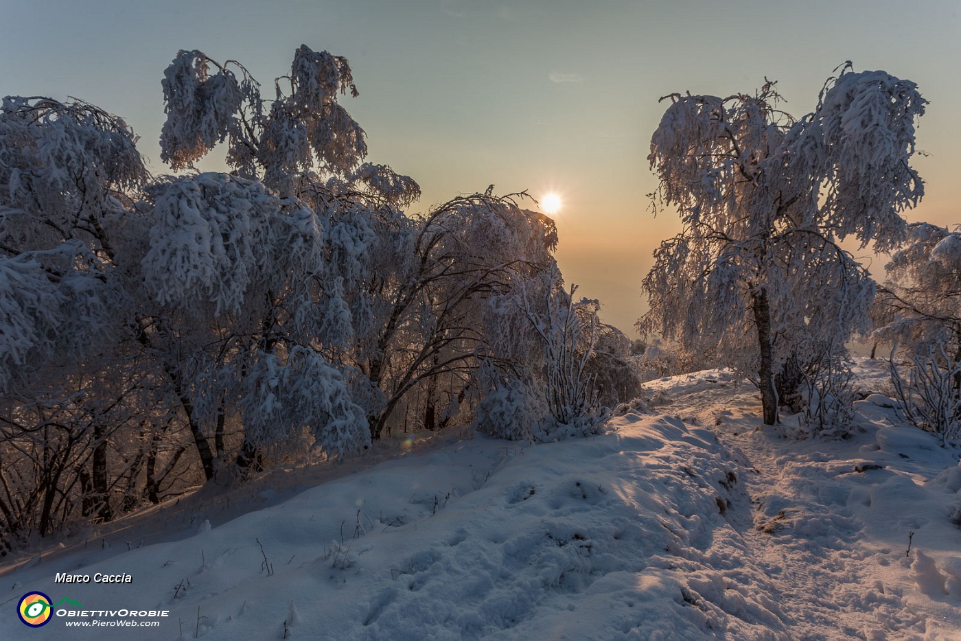 _MG_9622.JPG