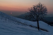 _MG_9401