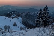 _MG_9411