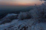 _MG_9429