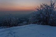 _MG_9444