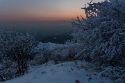 _MG_9447