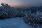 _MG_9450