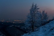 _MG_9485