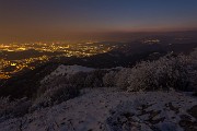 _MG_9499