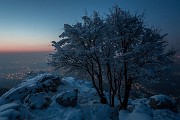 _MG_9509