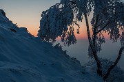 _MG_9517