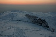 _MG_9529