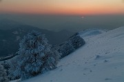 _MG_9547