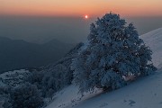 _MG_9568
