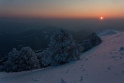 _MG_9571